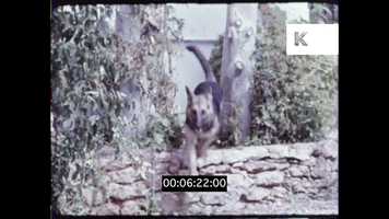 Free download 1960s Ibiza Old Town, HD from 16mm video and edit with RedcoolMedia movie maker MovieStudio video editor online and AudioStudio audio editor onlin