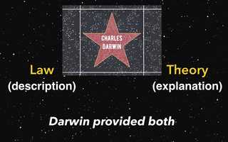 Free download 1a2 Darwins Contributions (no voice) video and edit with RedcoolMedia MovieStudio video editor online and AudioStudio audio editor onlin