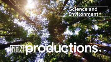 Free download 2020 Science  Environment Reel video and edit with RedcoolMedia movie maker MovieStudio video editor online and AudioStudio audio editor onlin