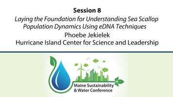 Free download 2021 MSWC Session 8 - Phoebe Jekielek, Hurricane Island Center for Science and Leadership video and edit with RedcoolMedia movie maker MovieStudio video editor online and AudioStudio audio editor onlin