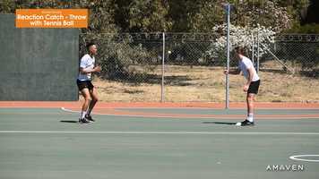 Free download 269 Reaction Catch - Throw with Tennis Ball video and edit with RedcoolMedia movie maker MovieStudio video editor online and AudioStudio audio editor onlin