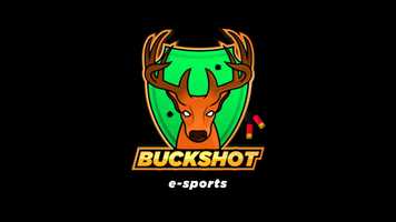 Free download 3DElement - Logo Buckshot E-sports video and edit with RedcoolMedia movie maker MovieStudio video editor online and AudioStudio audio editor onlin