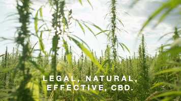 Free download 4-307 | Top Full-Spectrum CBD Houston, Texas Manufacturing, Gummies | Factory6 CBD: AL WY WI WV WA VA VT | video and edit with RedcoolMedia movie maker MovieStudio video editor online and AudioStudio audio editor onlin