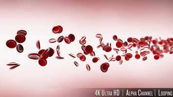 Free download 4k Stream of Red Blood Cells from the Side video and edit with RedcoolMedia movie maker MovieStudio video editor online and AudioStudio audio editor onlin