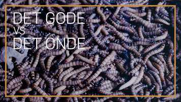 Free download aat_gode_onde_trailer_ video and edit with RedcoolMedia movie maker MovieStudio video editor online and AudioStudio audio editor onlin