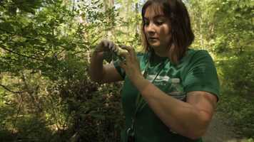 Free download Abby Haverty_Environmental Science Major_GMU video and edit with RedcoolMedia movie maker MovieStudio video editor online and AudioStudio audio editor onlin