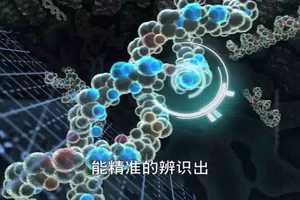 Free download ageLOC原理science video and edit with RedcoolMedia movie maker MovieStudio video editor online and AudioStudio audio editor onlin