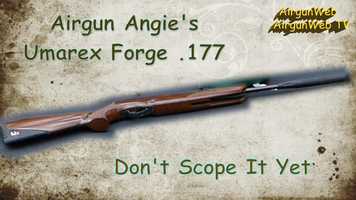 Free download Airgun Angies Umarex Forge .177, Dont Scope It Yet video and edit with RedcoolMedia movie maker MovieStudio video editor online and AudioStudio audio editor onlin