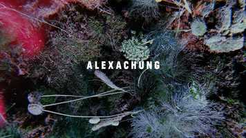 Free download Alexa Chung | London Fashion Week video and edit with RedcoolMedia movie maker MovieStudio video editor online and AudioStudio audio editor onlin