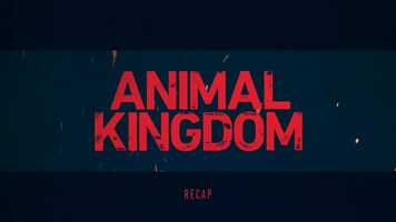 Free download Animal Kingdom Season 4 Recap video and edit with RedcoolMedia movie maker MovieStudio video editor online and AudioStudio audio editor onlin