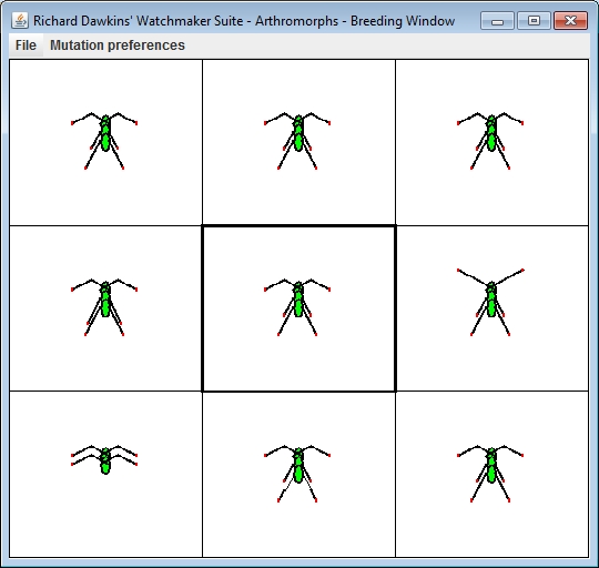 Download web tool or web app Arthromorphs