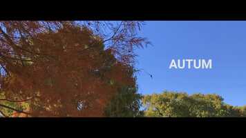 Free download Autum video and edit with RedcoolMedia movie maker MovieStudio video editor online and AudioStudio audio editor onlin