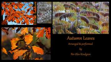 Free download Autumn Leaves (by Joseph Kosma) video and edit with RedcoolMedia movie maker MovieStudio video editor online and AudioStudio audio editor onlin