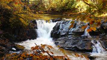 Free download Autumn on the Nantahala River (4k) video and edit with RedcoolMedia movie maker MovieStudio video editor online and AudioStudio audio editor onlin