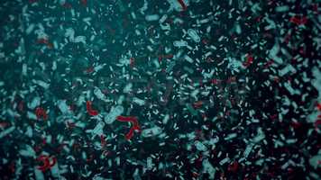 Free download Bacteria Pack Stock Motion Graphics video and edit with RedcoolMedia movie maker MovieStudio video editor online and AudioStudio audio editor onlin