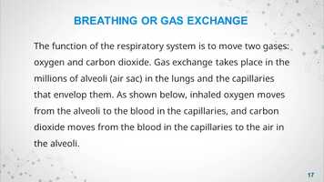 Free download Basic Science Jss1 Respiration-1.m4v video and edit with RedcoolMedia movie maker MovieStudio video editor online and AudioStudio audio editor onlin