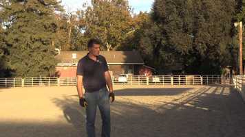 Free download Ben Hart and Vincent: Hands on Donkey Training Part 6 Lunge vs Long Rein video and edit with RedcoolMedia movie maker MovieStudio video editor online and AudioStudio audio editor onlin