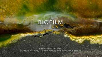 Free download BIOFILM video and edit with RedcoolMedia movie maker MovieStudio video editor online and AudioStudio audio editor onlin