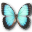 Free download Butterfly Javascript Game Web app or web tool