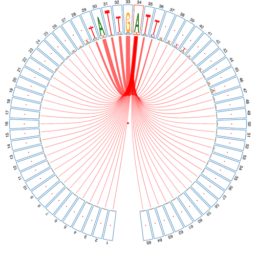 Download web tool or web app CircularLogo