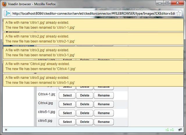 Download web tool or web app CKEditor Java Connector