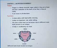 Free download Class VII Science Video 16 Chapter 2 (22.06.2021).mp4 video and edit with RedcoolMedia movie maker MovieStudio video editor online and AudioStudio audio editor onlin