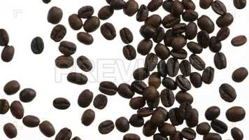 Free download Coffee Beans On White Stock Video video and edit with RedcoolMedia movie maker MovieStudio video editor online and AudioStudio audio editor onlin