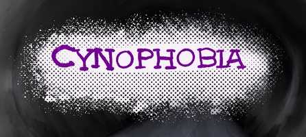 Free download Cynophobia video and edit with RedcoolMedia movie maker MovieStudio video editor online and AudioStudio audio editor onlin