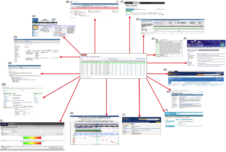 Download web tool or web app DaMold