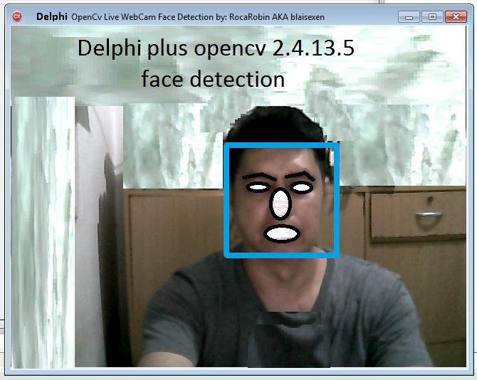 Download web tool or web app Delphi Face Detection