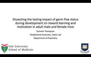 Free download Dissecting the lasting impact of germ free status during development on reward learning and motivation in adult male and female video and edit with RedcoolMedia movie maker MovieStudio video editor online and AudioStudio audio editor onlin