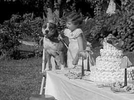 Free download Dog Party 1936 Chevrolet Leader News Newsreel Vol. 2 No. 3 video and edit with RedcoolMedia movie maker MovieStudio video editor online and AudioStudio audio editor onlin