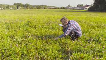 Free download Ecologist Examines Field Stock Video video and edit with RedcoolMedia movie maker MovieStudio video editor online and AudioStudio audio editor onlin