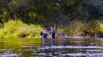 Free download Ecologists Collect Samples In River Stock Video video and edit with RedcoolMedia movie maker MovieStudio video editor online and AudioStudio audio editor onlin