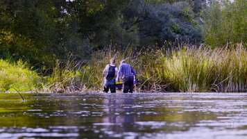 Free download Ecologists In The River Stock Video video and edit with RedcoolMedia movie maker MovieStudio video editor online and AudioStudio audio editor onlin