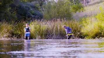 Free download Ecologists On The Water Stock Video video and edit with RedcoolMedia movie maker MovieStudio video editor online and AudioStudio audio editor onlin