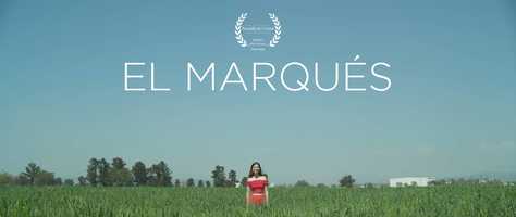 Free download El Marqus video and edit with RedcoolMedia movie maker MovieStudio video editor online and AudioStudio audio editor onlin