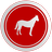 Free download Equus - Horse Education Web app or web tool