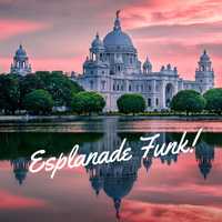 Free download Esplanade Funk - Gunzooloo Records video and edit with RedcoolMedia movie maker MovieStudio video editor online and AudioStudio audio editor onlin