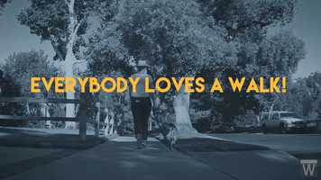 Free download Everybody Loves a Walk! video and edit with RedcoolMedia movie maker MovieStudio video editor online and AudioStudio audio editor onlin