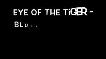 Free download Eye of the Tiger - Bluestone Band video and edit with RedcoolMedia movie maker MovieStudio video editor online and AudioStudio audio editor onlin