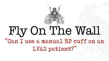 Free download Fly On The Wall Can I use a manual BP cuff on an LVAD patient? video and edit with RedcoolMedia movie maker MovieStudio video editor online and AudioStudio audio editor onlin