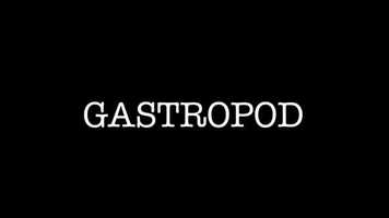 Free download Gastropod-movie.com video and edit with RedcoolMedia movie maker MovieStudio video editor online and AudioStudio audio editor onlin