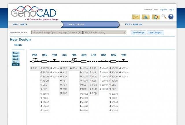 Download web tool or web app GenoCAD