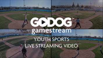 Free download GoDog GameStream Live Streaming Video video and edit with RedcoolMedia movie maker MovieStudio video editor online and AudioStudio audio editor onlin