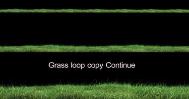 Free download Grass Fast Blowing in the Wind 4K | Motion Graphics - Envato elements video and edit with RedcoolMedia movie maker MovieStudio video editor online and AudioStudio audio editor onlin