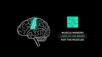 Free download Halo Neuroscience-How muscle memory work.mp4 video and edit with RedcoolMedia movie maker MovieStudio video editor online and AudioStudio audio editor onlin