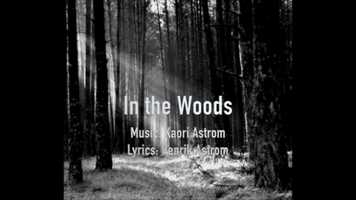 Free download In the Woods video and edit with RedcoolMedia movie maker MovieStudio video editor online and AudioStudio audio editor onlin