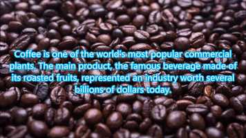 Free download Its Official, The Worlds Favorite Crop, Coffee, Is Dying In The Wild video and edit with RedcoolMedia movie maker MovieStudio video editor online and AudioStudio audio editor onlin