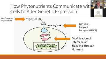 Free download Jeff Bland Unplugged #4 -Science of Phytonutrients, Fiber and Himalayan Tartary Buckwheat video and edit with RedcoolMedia movie maker MovieStudio video editor online and AudioStudio audio editor onlin